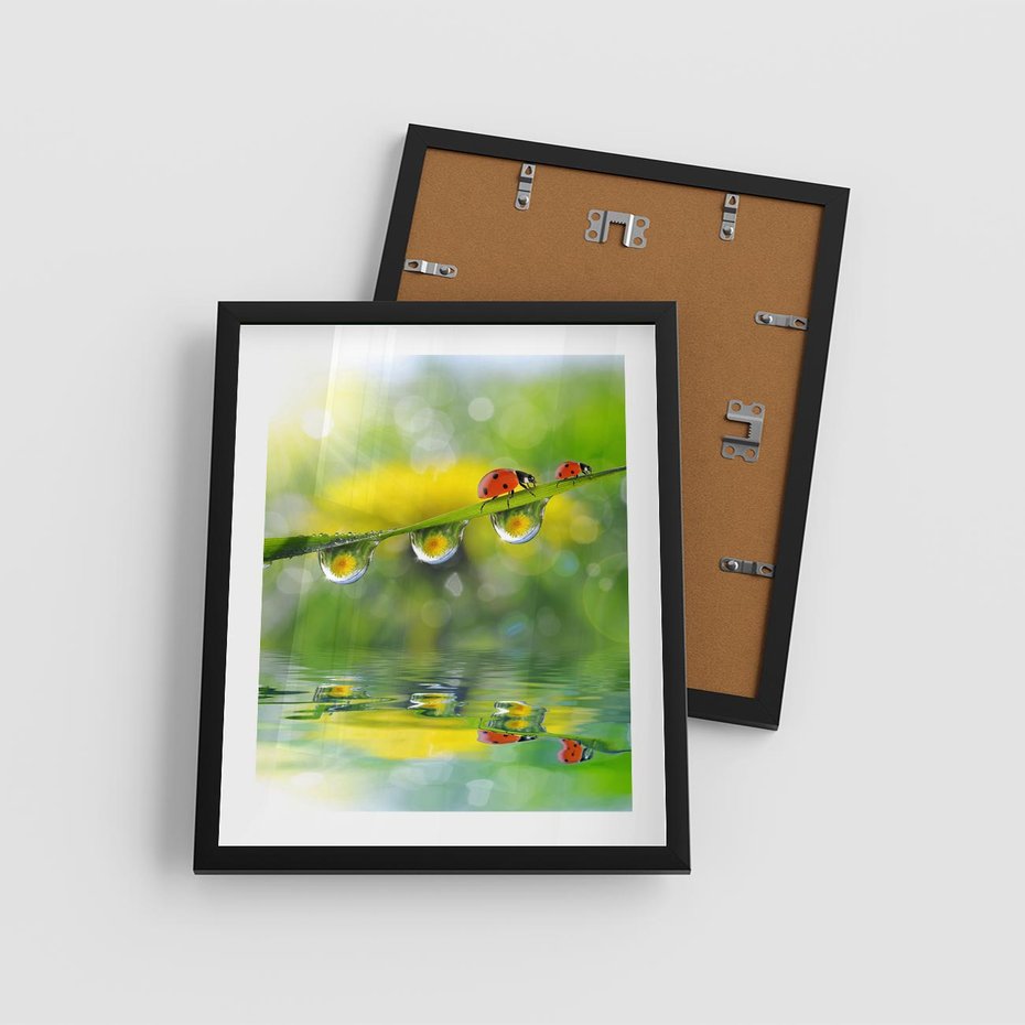 Plakat w ramie 40x50 - Deszczowa Biedronka - biedronka, deszcz - rama czarna