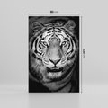 Obraz na płótnie 80x120 - Tygrys Czarno-Biały: Siła i Delikatność - tygrys, czarno