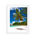 Plakat w ramie 40x50 - Oaza palm na plaży - palma, plaża - rama biała