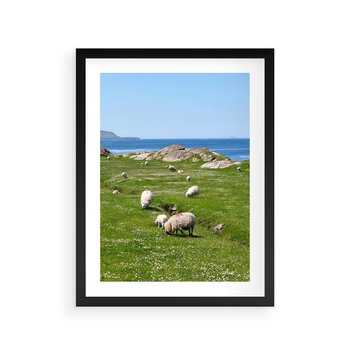 Plakat w ramie 40x50 - Górskie Owce - góry, owce - rama czarna