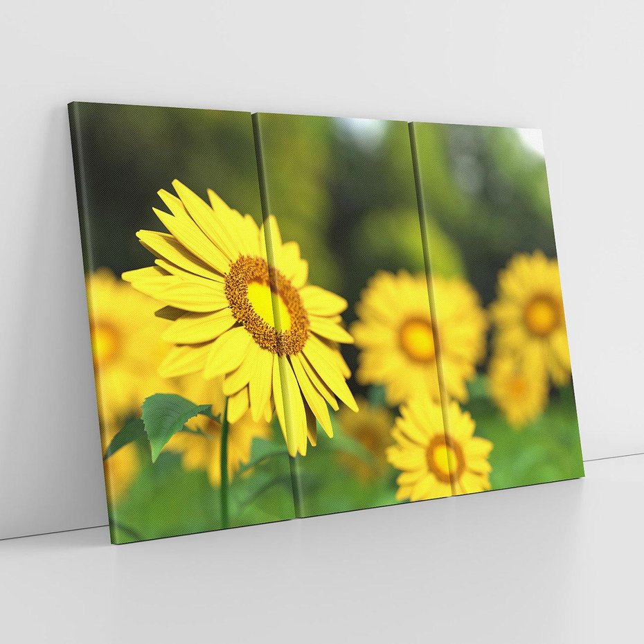 Obraz na płótnie 120x80 - Kwiatowa łąka - kwiaty, łąka