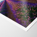 Plakat bez ramy 50x70 - Fioletowa Magia - pole, lawendy