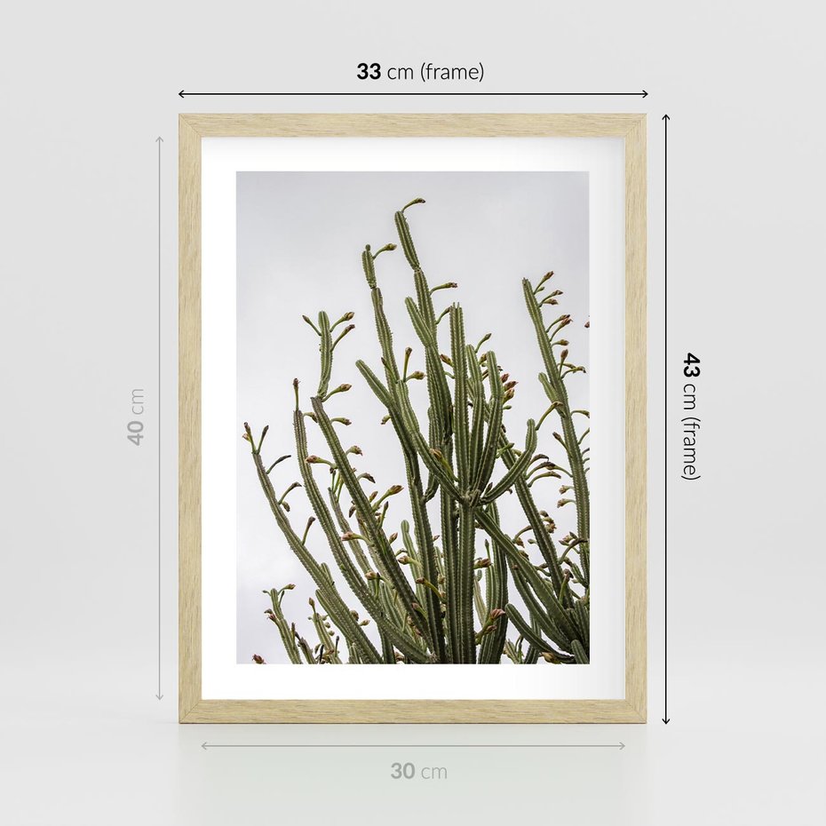 Plakat w ramie 30x40 - Ekskluzywna Roślinność - kaktusy, liście - rama drewno