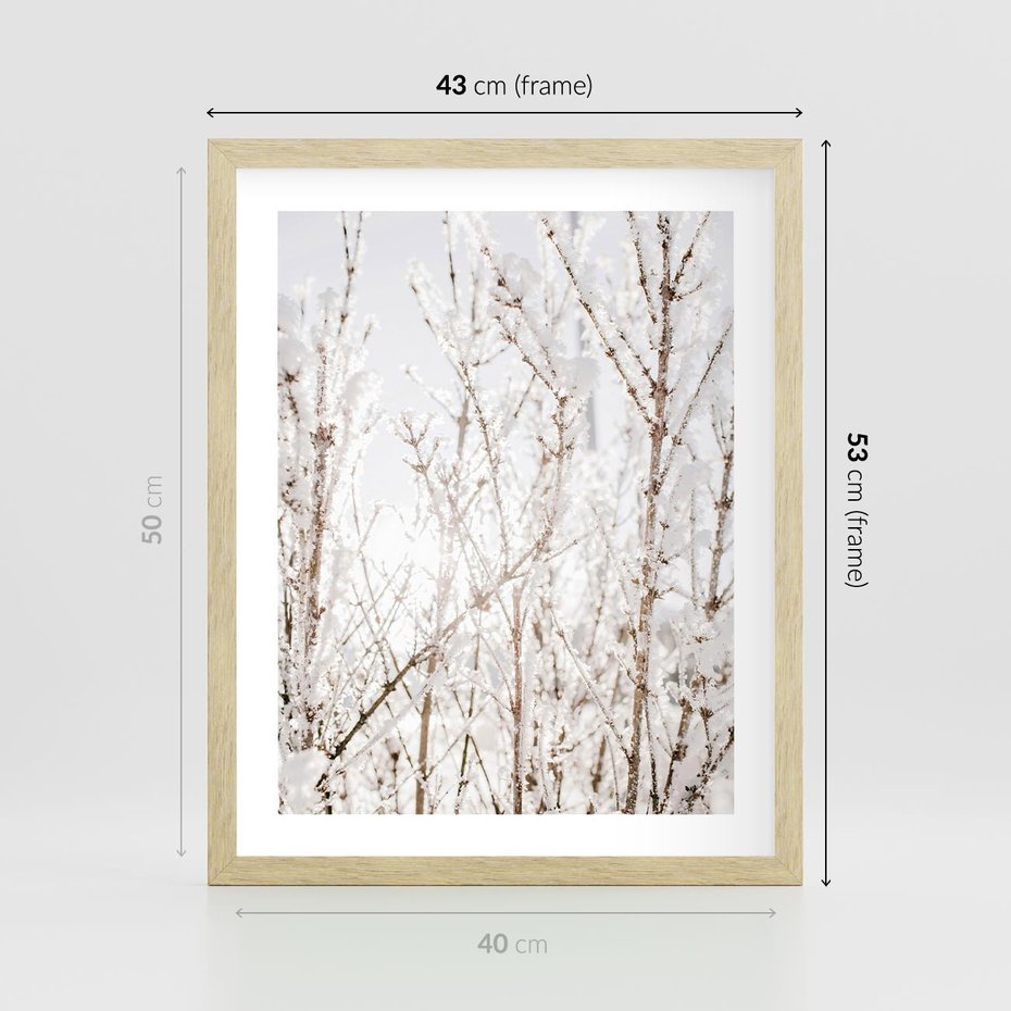 Plakat w ramie 40x50 - Szron na Gałęziach - ośnieżone gałązki, szron na gałęziach - rama drewno