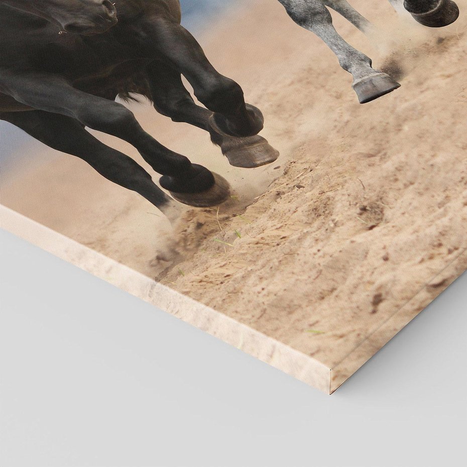 Obraz na płótnie 80x120 - Siła koni w galopie - konie, galop