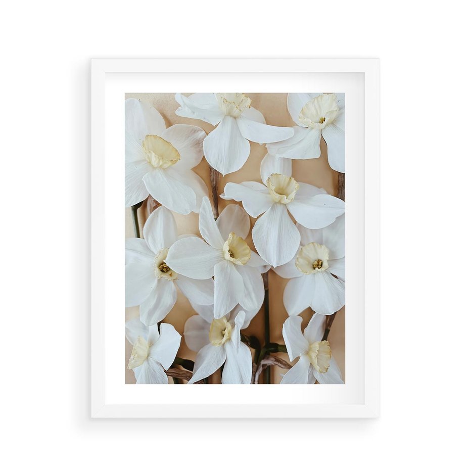Plakat w ramie 40x50 - Białe Narcyzy - narcyzy, kwiaty - rama biała