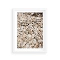 Plakat w ramie 30x40 - Symfonia Natury - kompozycja z białych muszli - rama biała