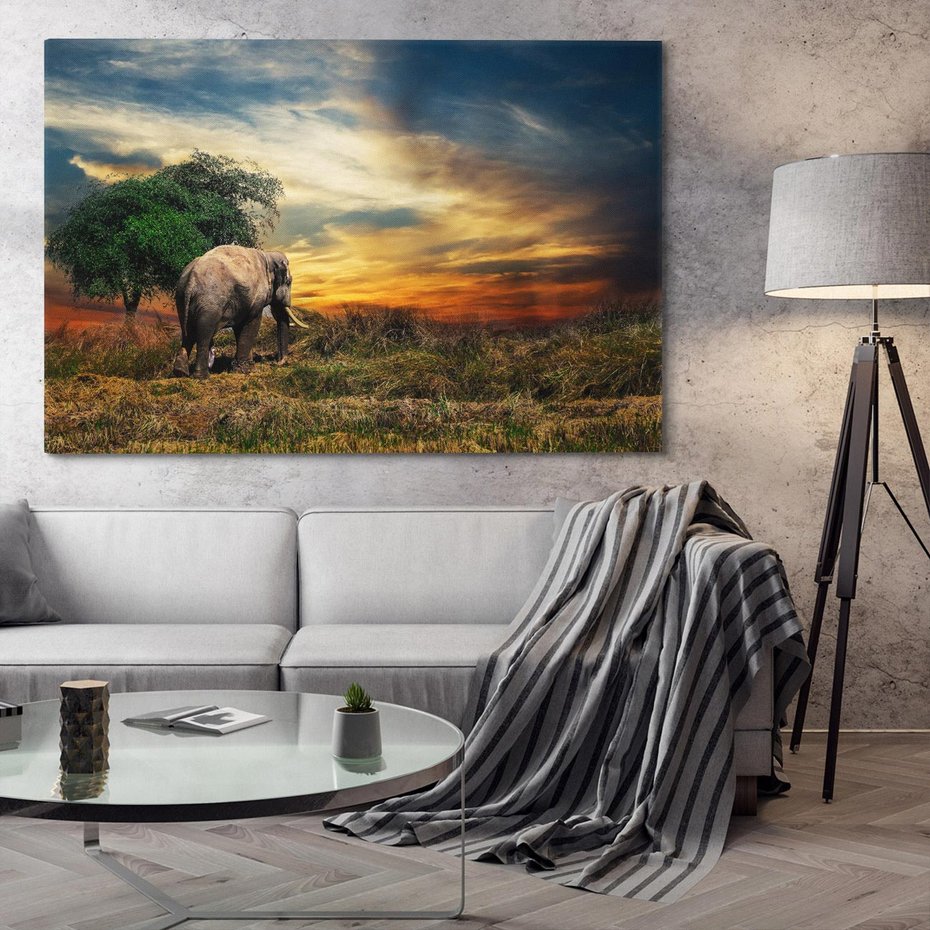 Obraz na płótnie 70x50 - Potęga słonia na afrykańskiej sawannie - słoń, sawanna