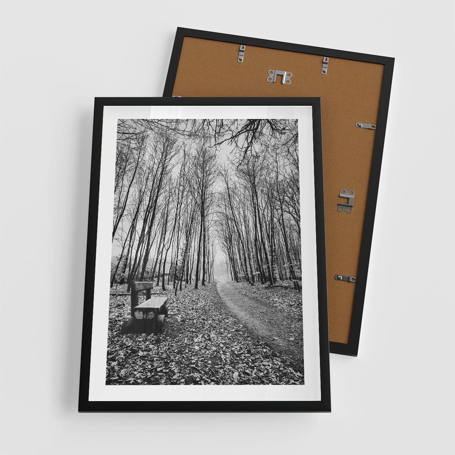 Plakat w ramie 50x70 - Spadające Liście - czarno białe zdjecie, park - rama czarna