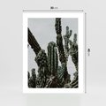 Plakat bez ramy 30x40 - Boho oaza wśród kaktusów - kaktusy, pustynia