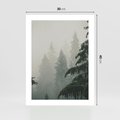 Plakat bez ramy 30x40 - Mglista przemiana lasu - las, mgła