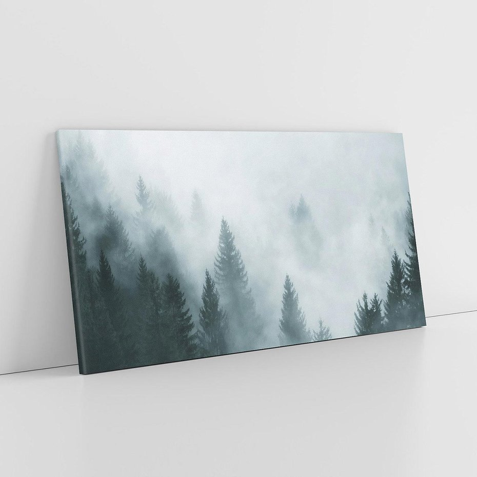 Obraz na płótnie 120x60 - Las w Mgłe - las, we