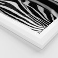 Plakat w ramie 30x40 - Pasy Zebr - zebra, paski - rama biała