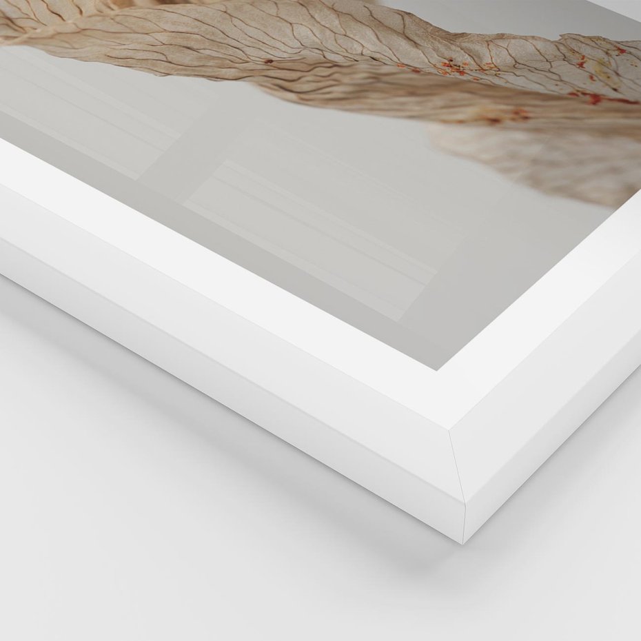 Plakat w ramie 40x50 - Suszone piękno - susz, suche - rama biała