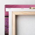 Obraz na płótnie 30x30 - Pola lawendy w pełnym rozkwicie - Lawenda, krajobraz