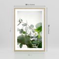 Plakat w ramie 50x70 - Zielony Świat Eukaliptusa - eukaliptus, fotografia - rama drewno