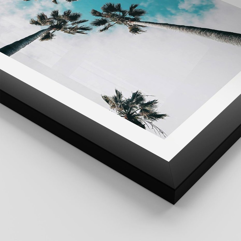 Plakat w ramie 40x50 - Palmy w Gorącym Niebie - palmy, ujęcie z dołu - rama czarna