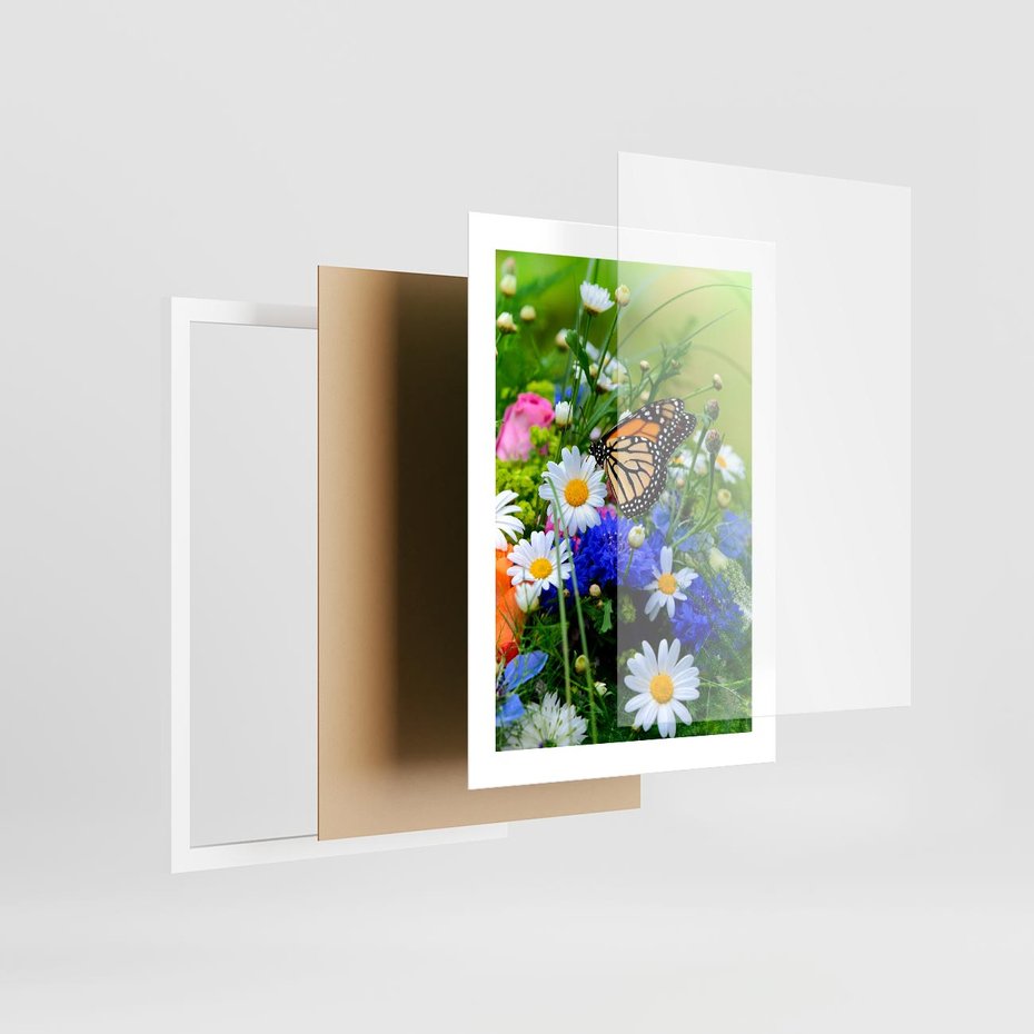 Plakat w ramie 30x40 - Kwiatowy Taniec - motyl, kwiaty - rama biała