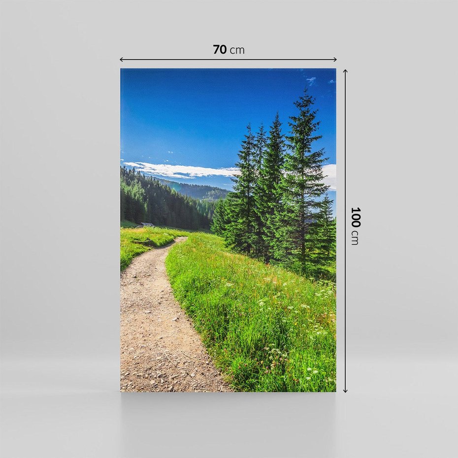 Obraz na płótnie 70x100 - Harmonia natury - góry, łąka