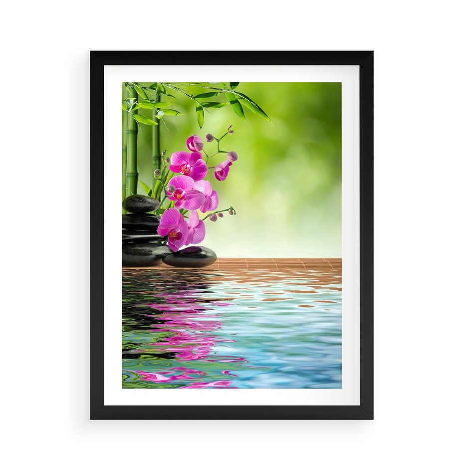 Plakat w ramie 50x70 - Oaza Storczyka i Wody - spa, storczyk - rama czarna