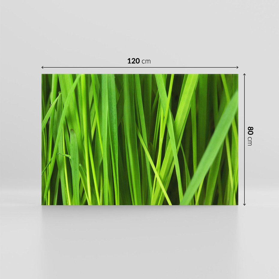 Obraz na płótnie 120x80 - Trawa w abstrakcji: natura przekształcona - trawa, abstrakcja