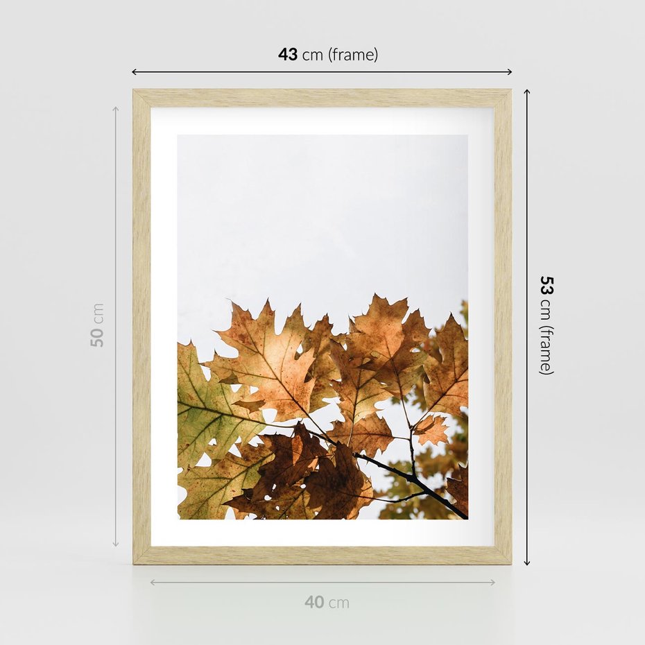 Plakat w ramie 40x50 - Suche Żółte Liście w Malowniczym Ujęciu - liście, żółte - rama drewno