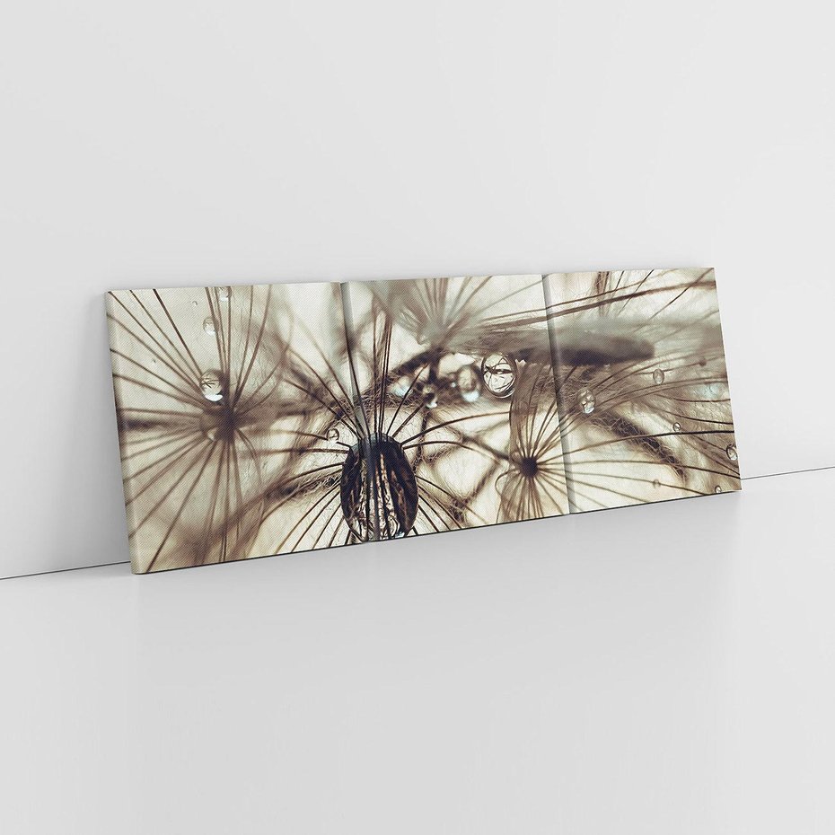 Obraz na płótnie 120x40 - Lekkie dmuchawce - dmuchawce, krople