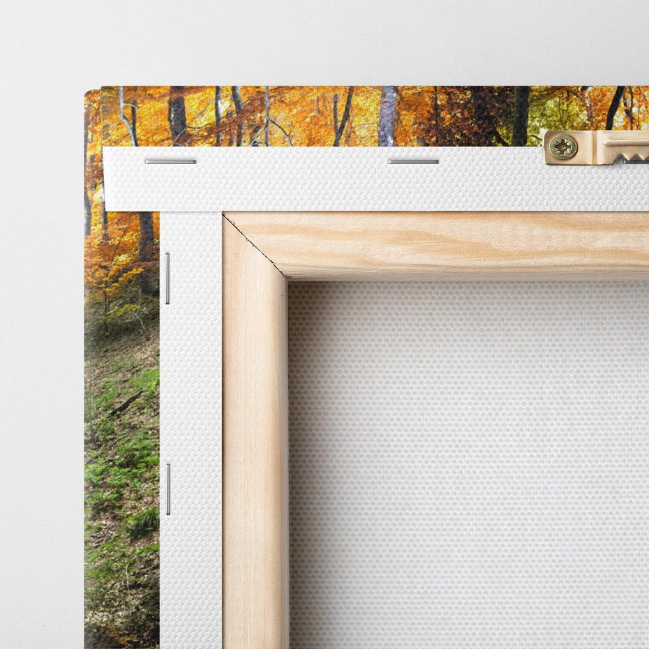 Obraz na płótnie 50x70 - Jesienny wodospad w lesie - wodospad, las