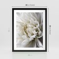 Plakat w ramie 40x50 - Białe Kwiaty Delikatności - białe, kwiaty - rama czarna