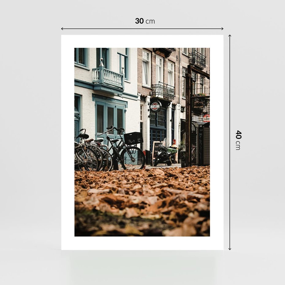 Plakat bez ramy 30x40 - Rowery w Mieście pełnym Liści - rower, miasto