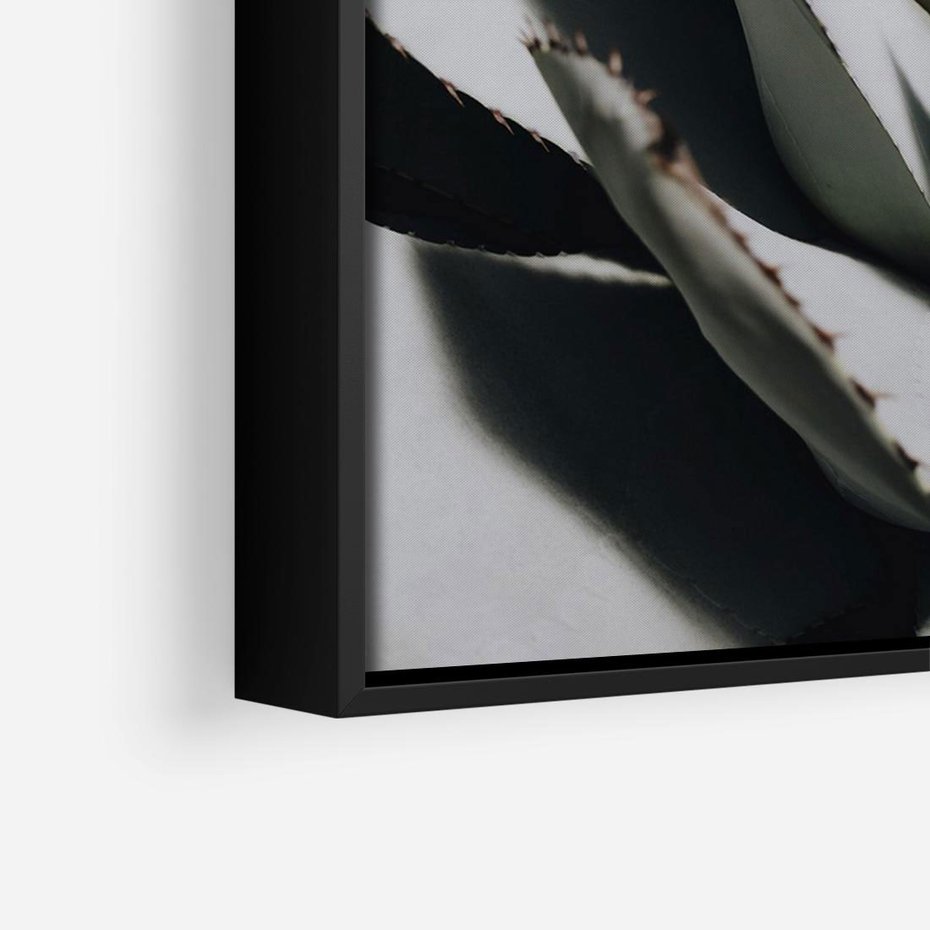 Obraz w ramie 70x50 - Sukulenty wśród kaktusów - sukulenty, kaktusy - rama czarna