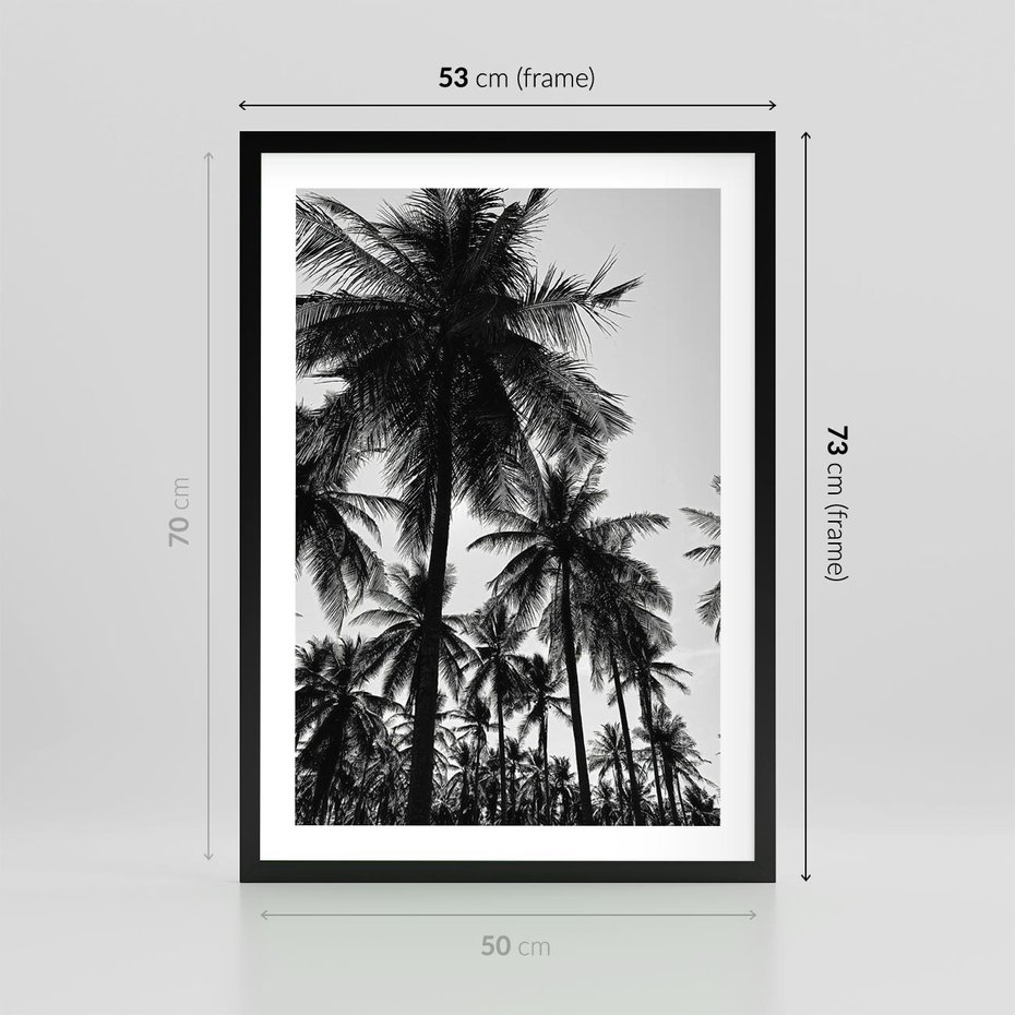 Plakat w ramie 50x70 - Mono Tropiki - palmy, drzewa palmowe - rama czarna