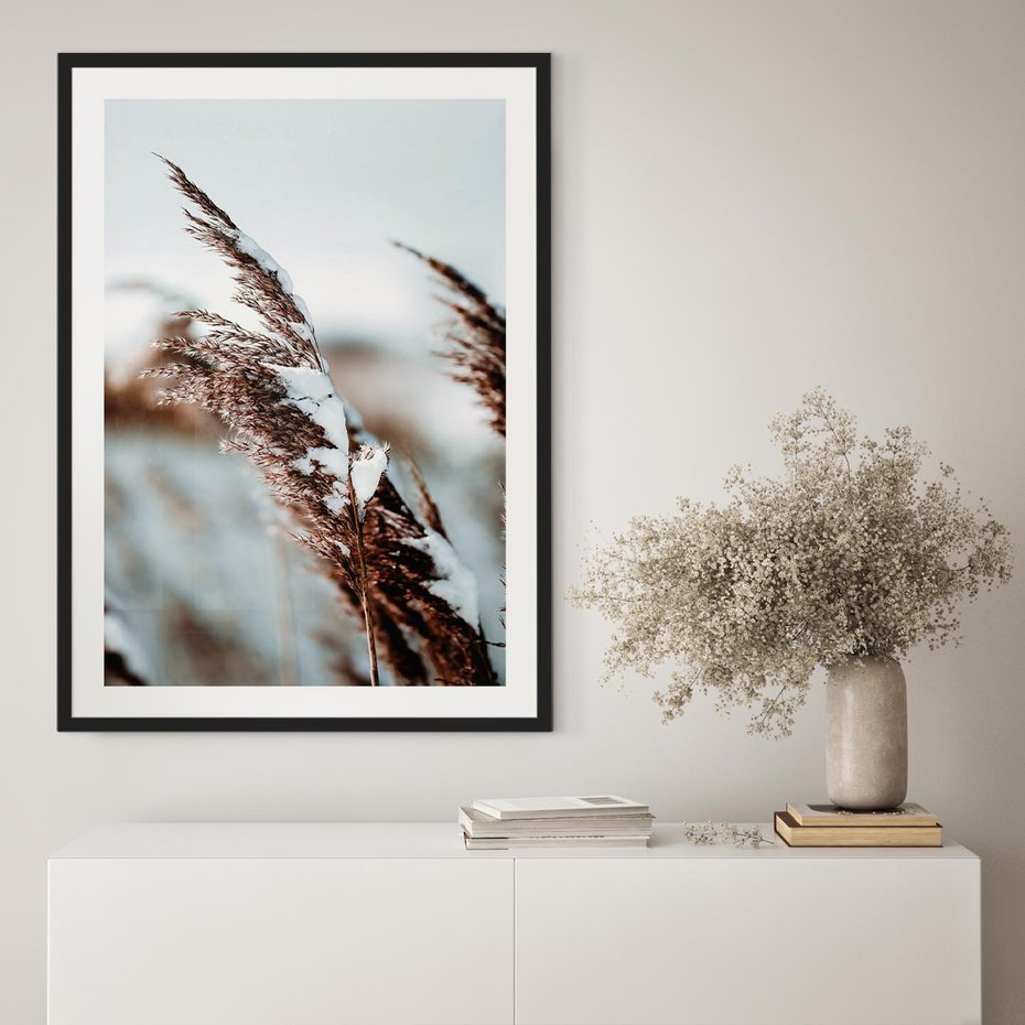 Plakat w ramie 40x50 - Zima na Suchych Trawach - suche trawy, śnieg wysokich na trawach - rama czarna