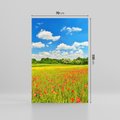 Obraz na płótnie 70x100 - Malownicze maki na łące - maki, łąka