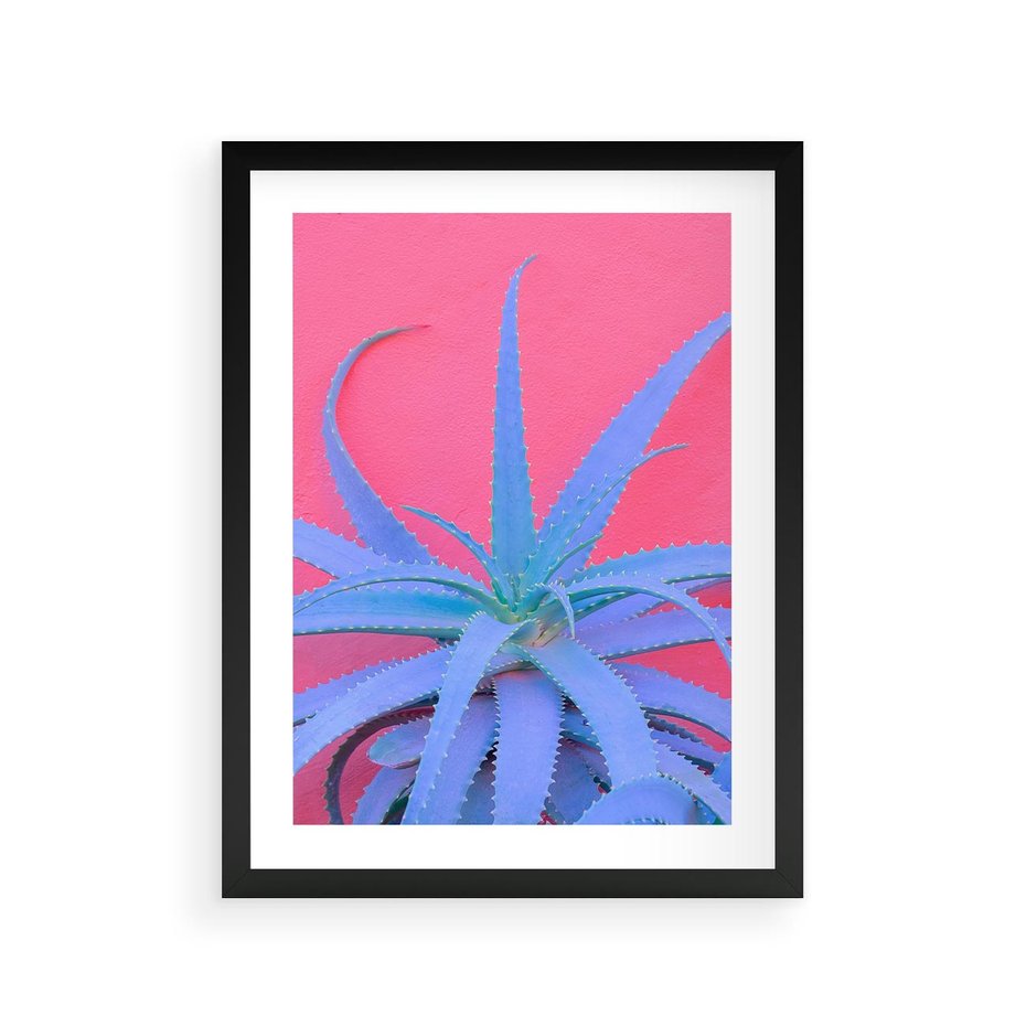 Plakat w ramie 30x40 - Piękno Pustyni - kaktusy, liście - rama czarna
