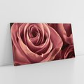 Obraz na płótnie 140x70 - Romantyczna Róż - róża, kwiat