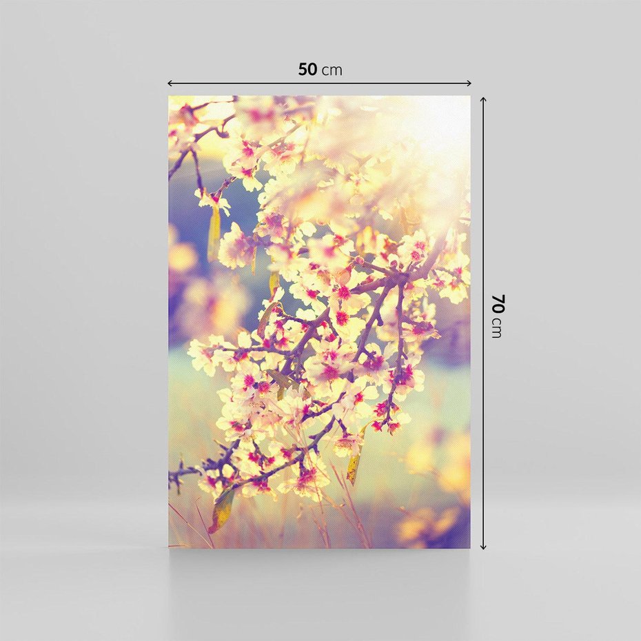 Obraz na płótnie 50x70 - Kwiatowa Wiosna - kwiaty, wiosna