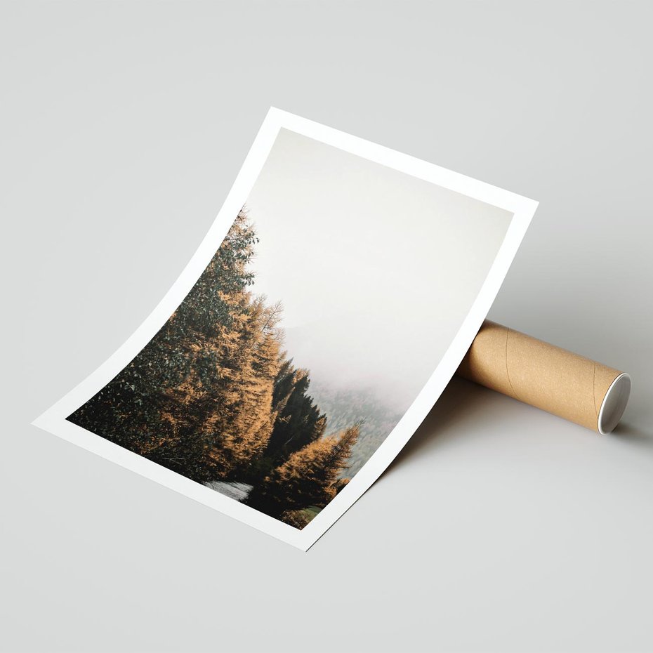 Plakat bez ramy 21x30 - Kolorowa Jesień w Górskim Lesie - las, jesień