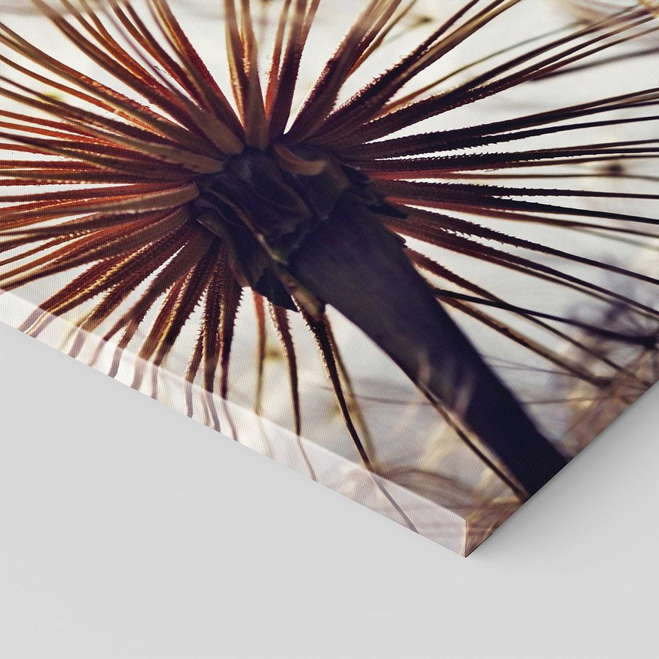 Obraz na płótnie 120x80 - Makro piękno dmuchawca - makro, dmuchawiec