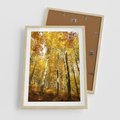 Plakat w ramie 50x70 - Jesienny Las - Kolorowa Paleta Natury - jesień, drzewa - rama drewno