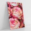 Obraz na płótnie 50x70 - Różany urok - kwiaty, róże
