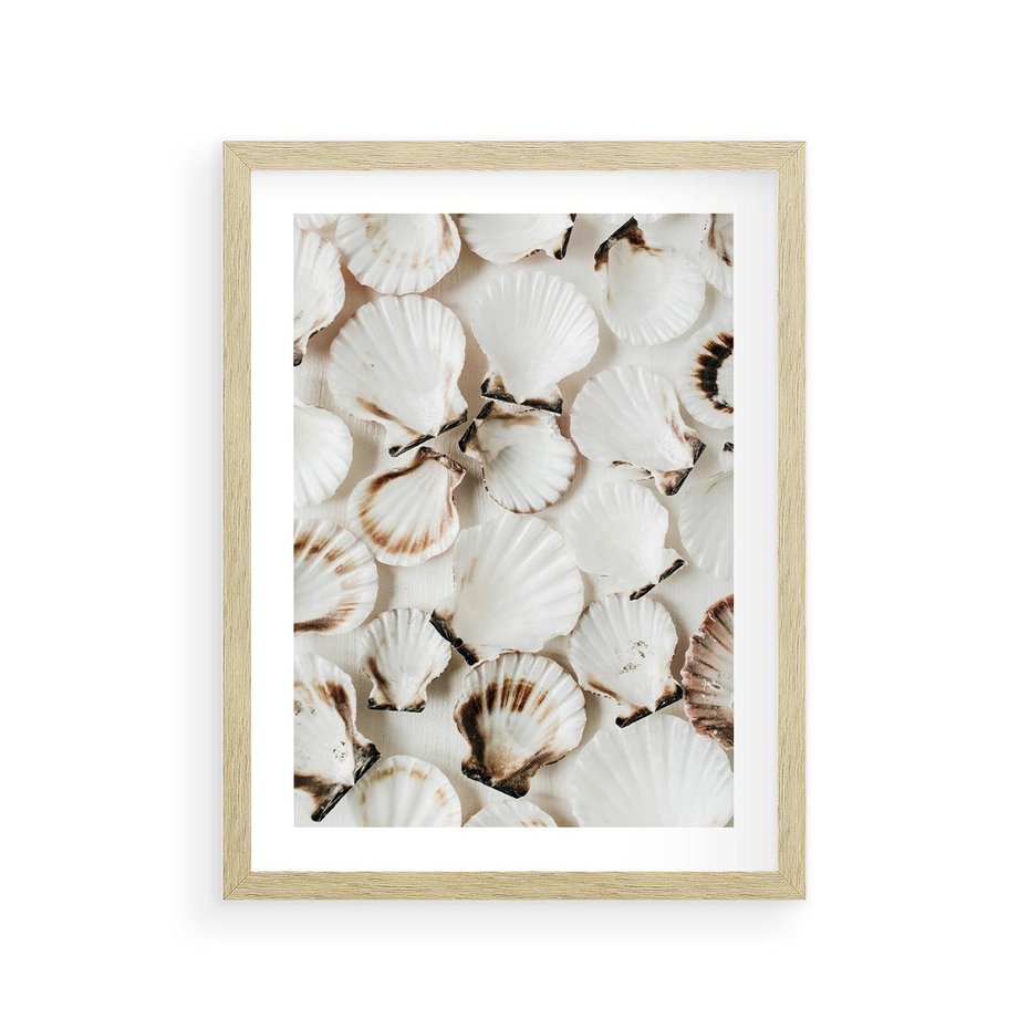 Plakat w ramie 30x40 - Białe Muszle - białe muszle, ujęcie z góry - rama drewno