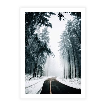 Plakat bez ramy 30x40 - Droga przez Zimowy Las - drzewa, śnieg
