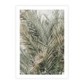 Plakat bez ramy 30x40 - Egzotyczny Świat Palm - palmy, liście palmy