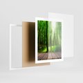 Plakat w ramie 40x50 - Spacer po urokliwej dróżce w lesie - las, dróżka - rama biała