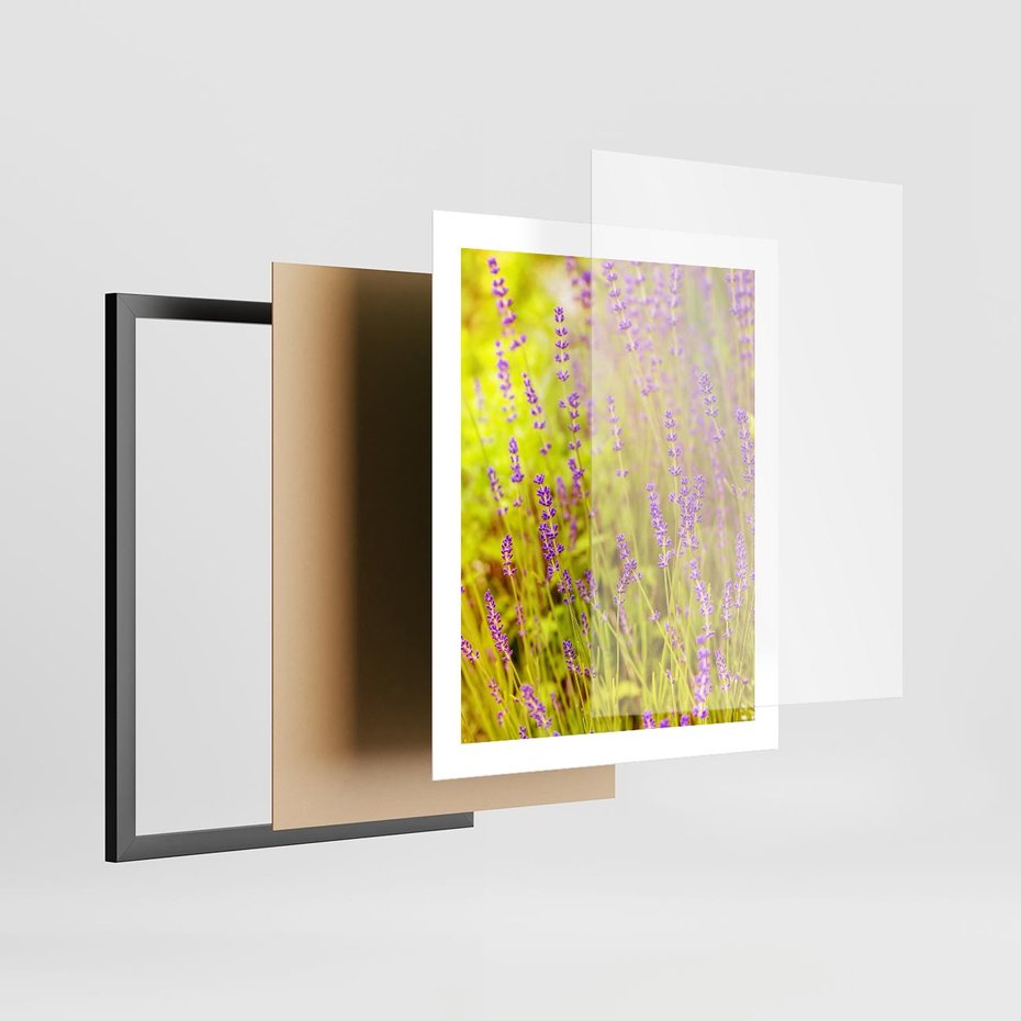 Plakat w ramie 40x50 - Delikatność natury - lawenda, kwiaty - rama czarna