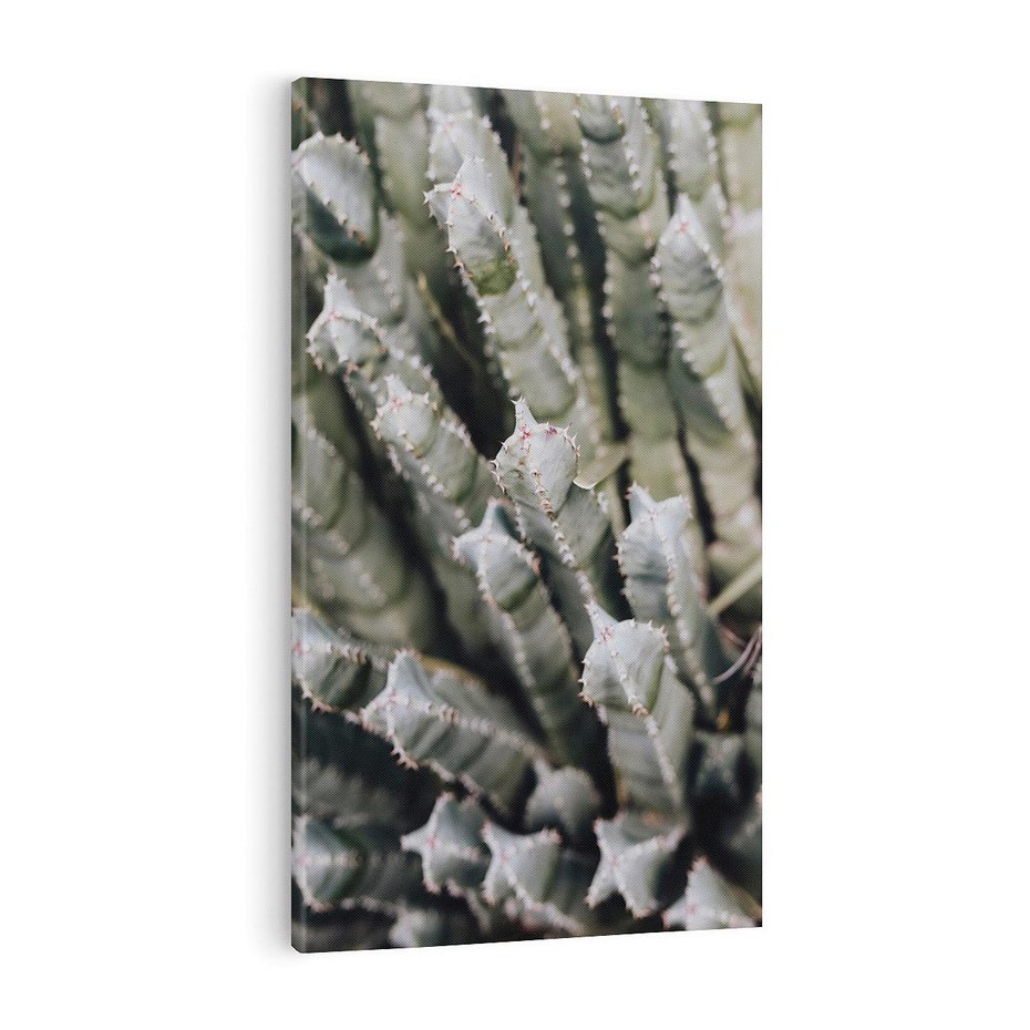 Obraz na płótnie 70x100 - Boho kaktusy na pustyni - kaktusy, pustynia