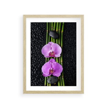 Plakat w ramie 30x40 - Japońskie Spa w Otoczeniu Storczyków - storczyk, spa - rama drewno