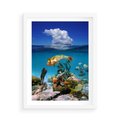 Plakat w ramie 50x70 - Podwodna rafa koralowa: kolorowy oceanowy świat - rafa, koralowa - rama biała