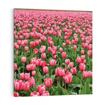 Obraz na płótnie 50x50 - Tulipanowe Elegancja - tulipany, kwiat
